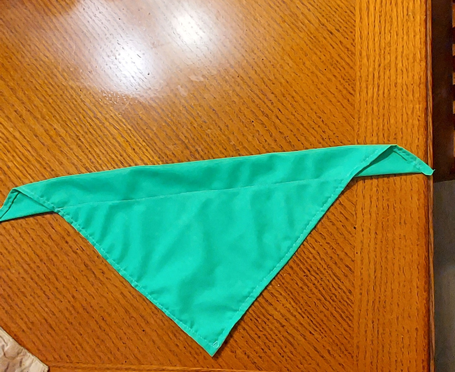 Over The Collar Dog Bandana - Green